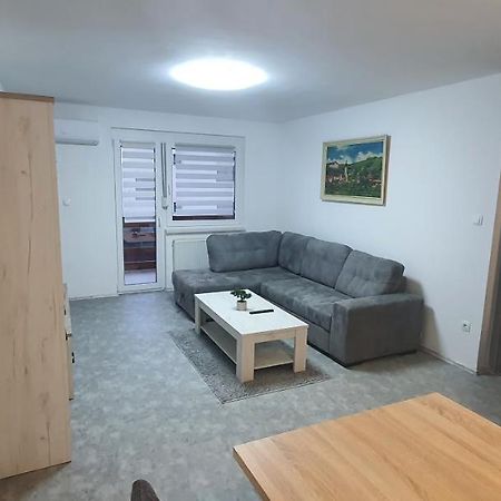 Apartma Sivi Zako 博希尼 外观 照片