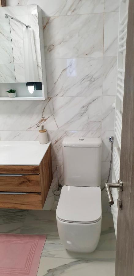Apartma Sivi Zako 博希尼 外观 照片