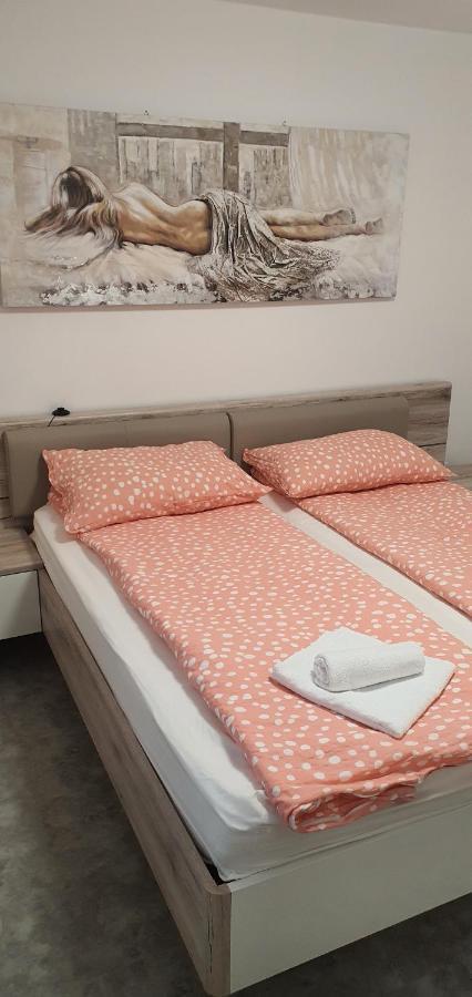 Apartma Sivi Zako 博希尼 外观 照片